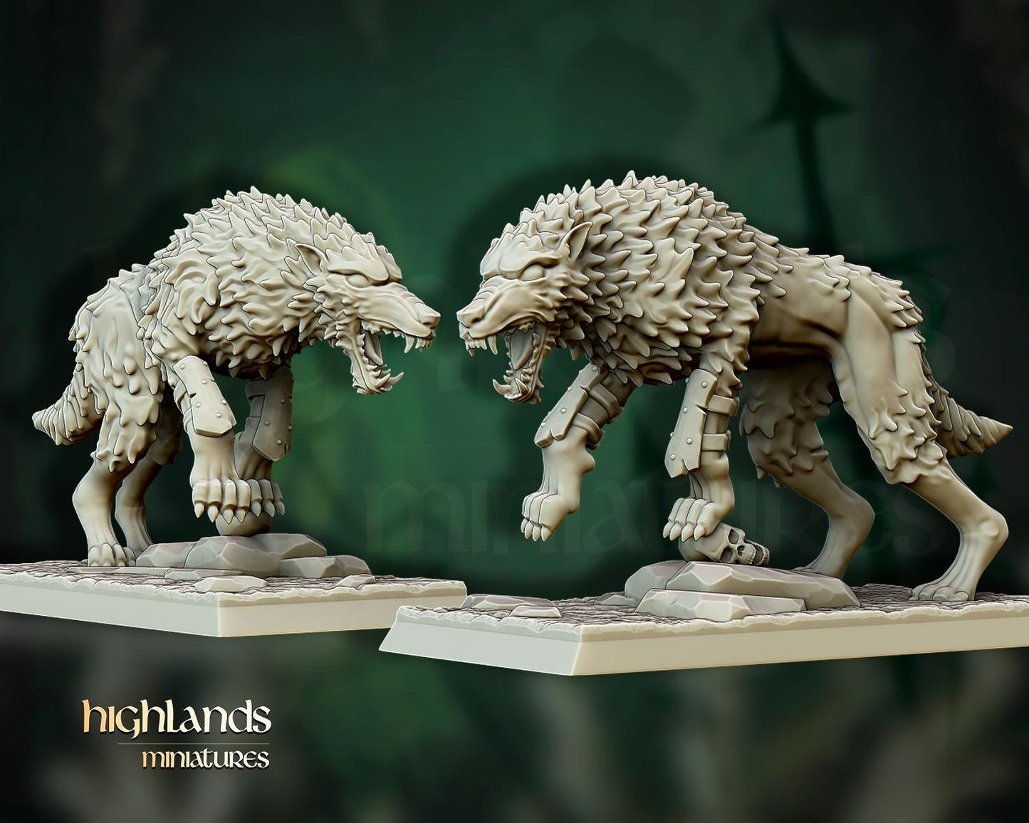 Transylvania Direwolves