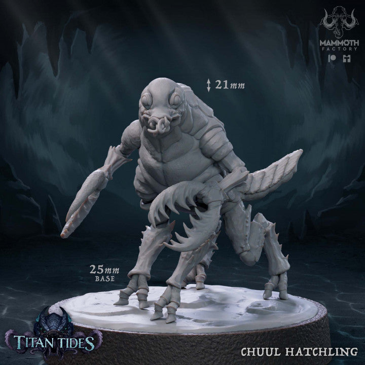 Chuul Hatchling