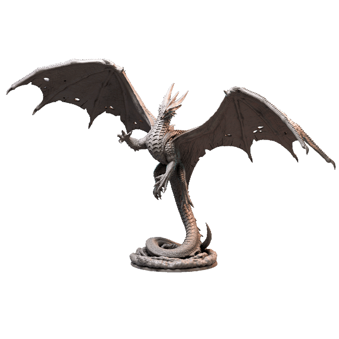 Fighting Adult dragon