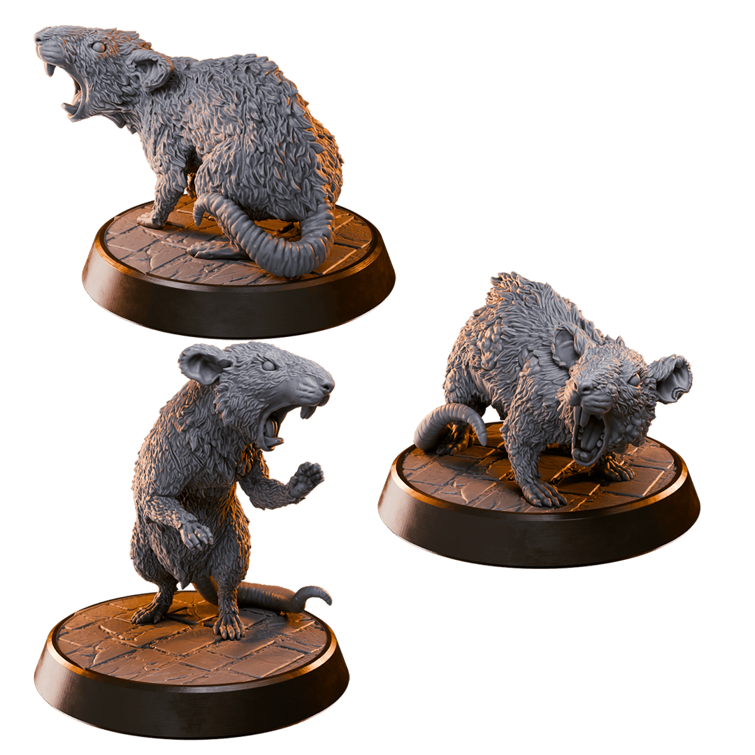 Giant Rats