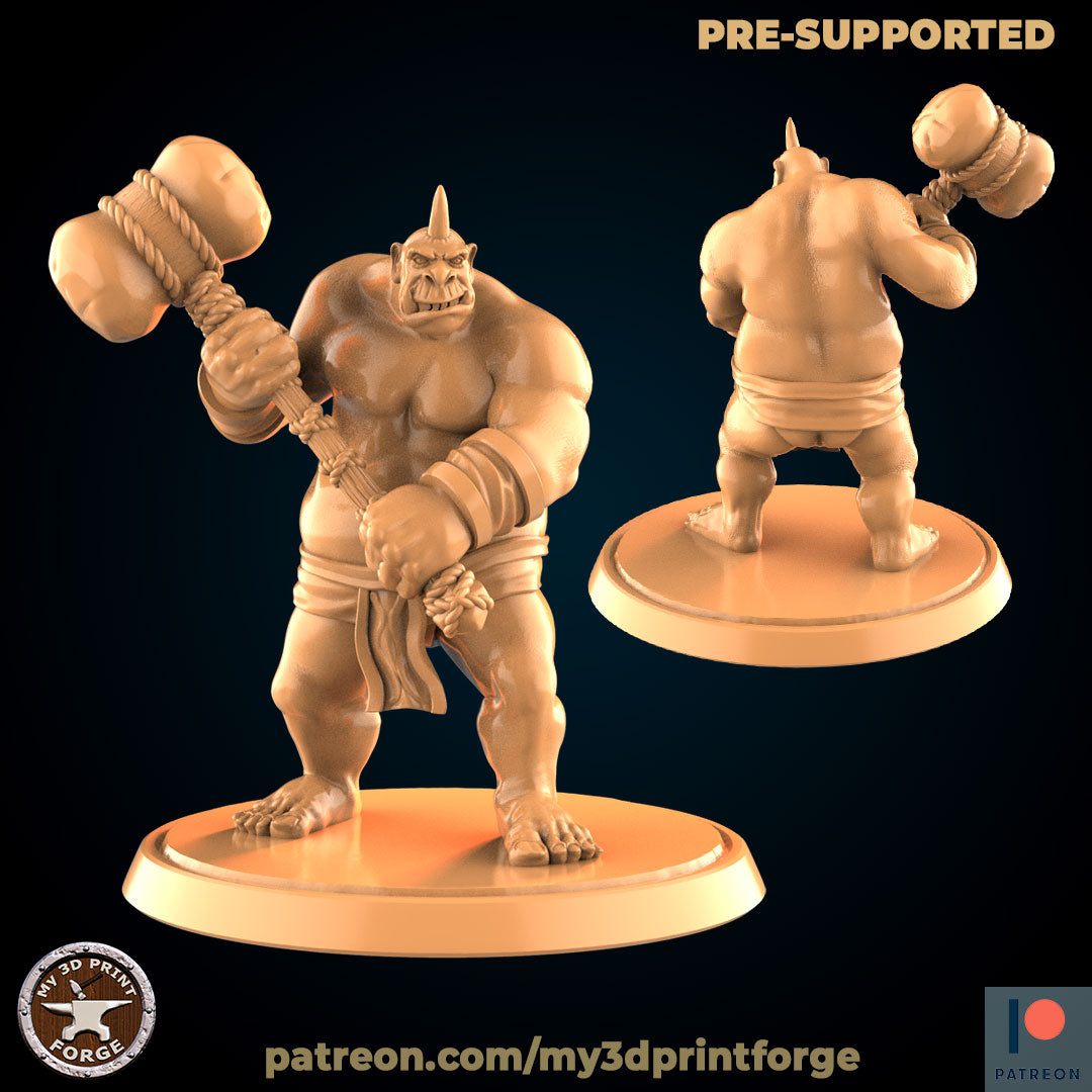 Ogre