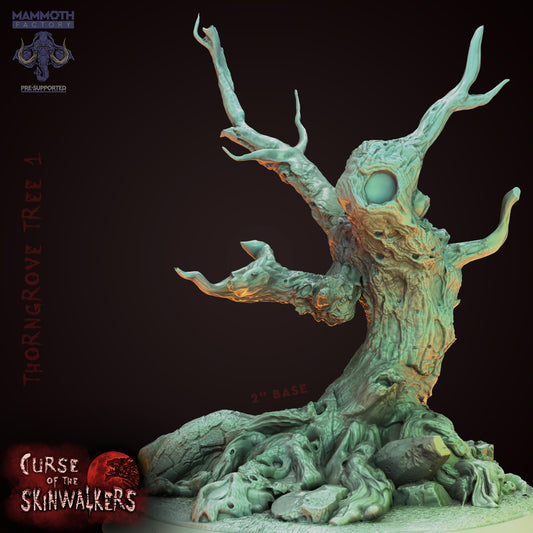 Thorngrove Trees