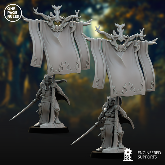 Army Standard Bearer