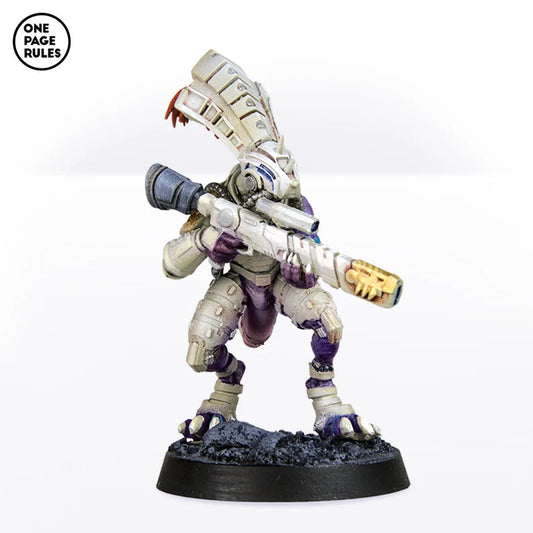 Gecko Chief