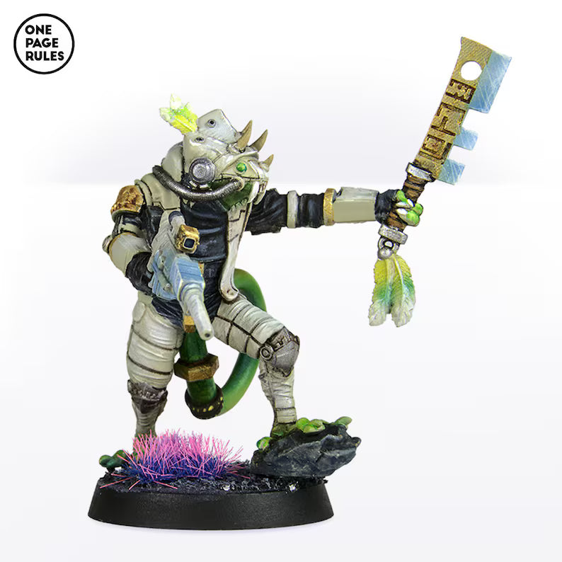Chameleon Chief