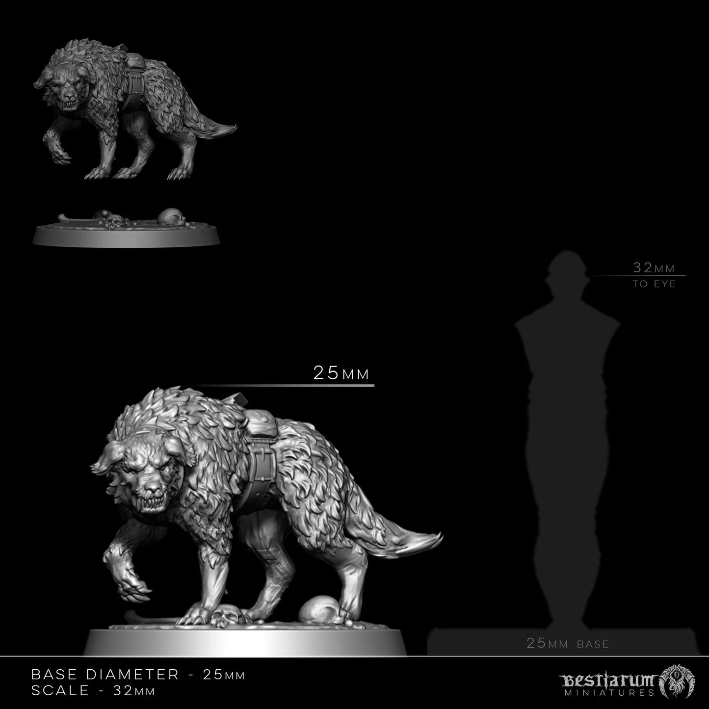 Yerana the Poacher