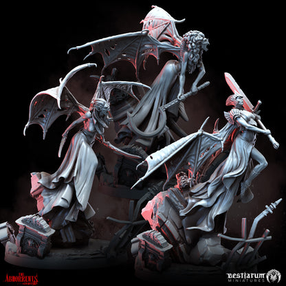 Bloodied Consorts