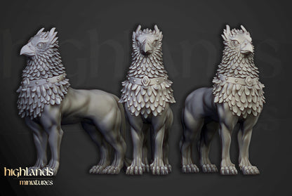 Sunland Knights of Rising Sun