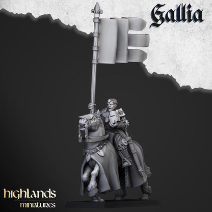 Gallia Young Knights