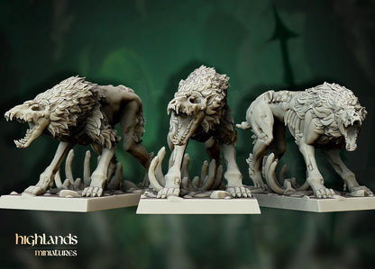 Transylvania Direwolves