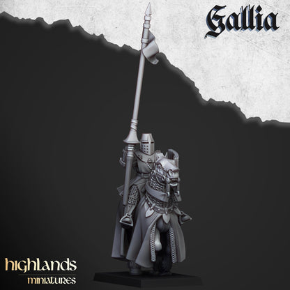 Gallia Young Knights