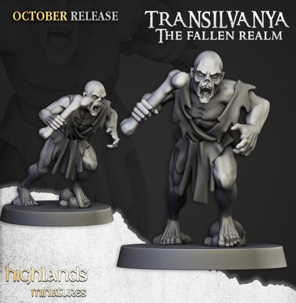Transylvania Ghouls