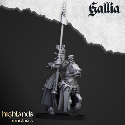 Gallia Royal Knights of Gallia