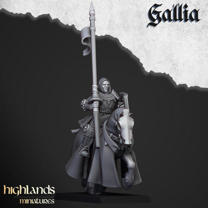 Gallia Young Knights