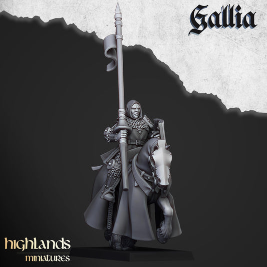 Gallia Young Knights