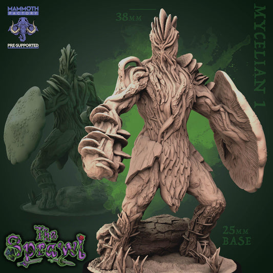 Mushroom people | Mycellians