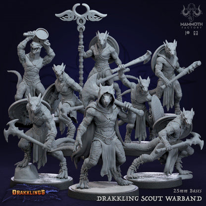 Drakkling Scouts