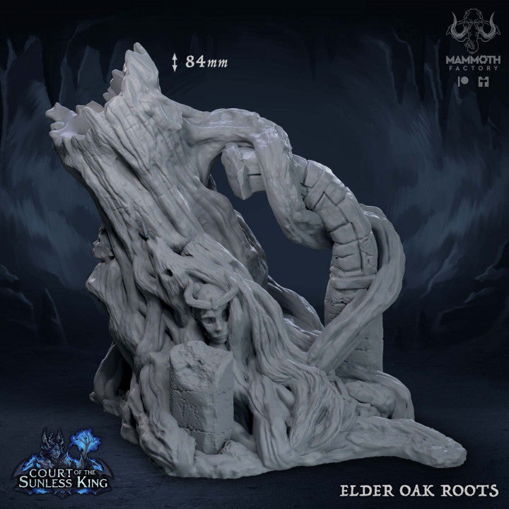 Elder Oak Roots