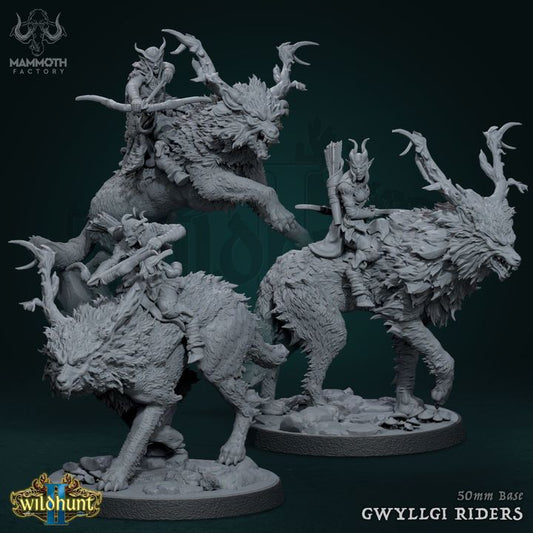 Gwyllgi Riders