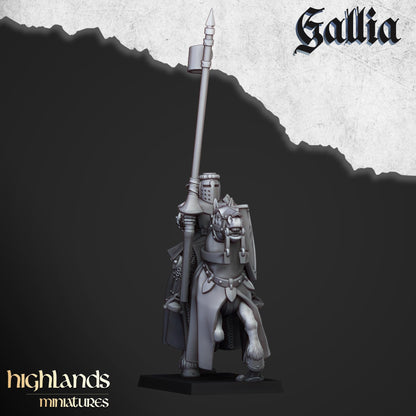 Gallia Young Knights