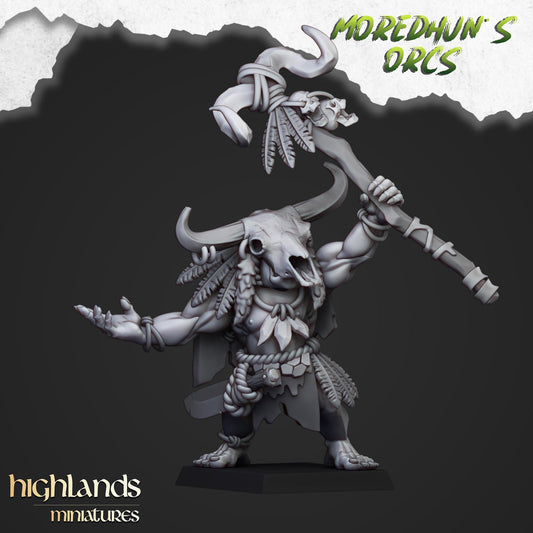 Mordehuns Orcs Shaman