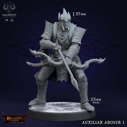 Auxiliar Archer
