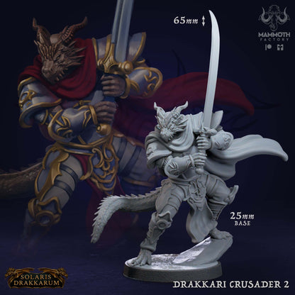 Drakkari Crusader