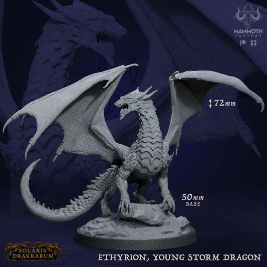 Young Storm Dragon