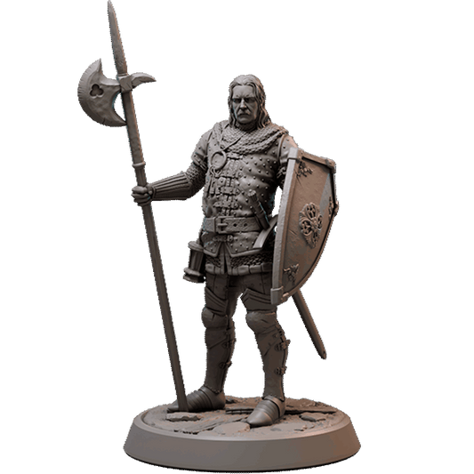 Harold the Town Guard