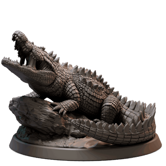 Crocodile