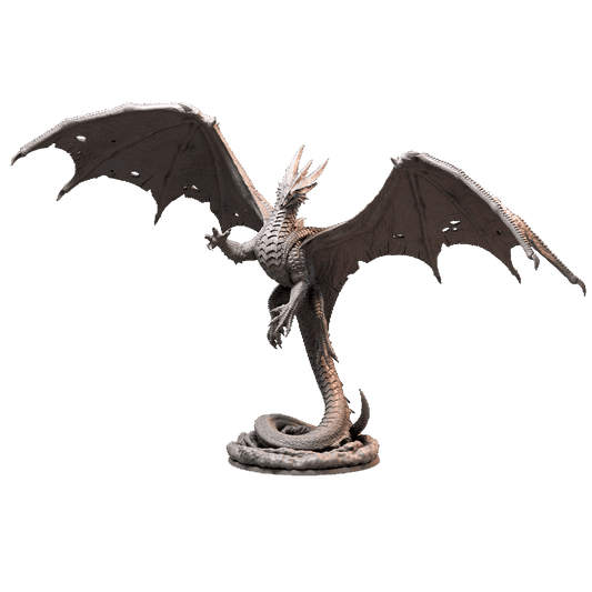 Fighting Adult dragon