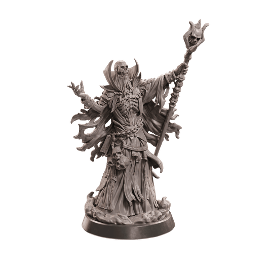 Reanimated Wizard