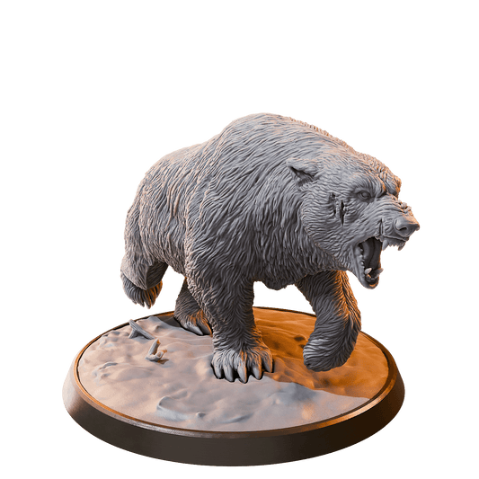 Polar Bear