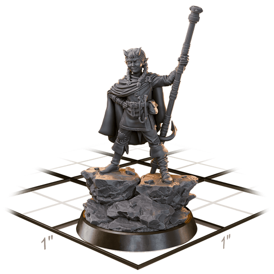 Kolya, Wall Princess