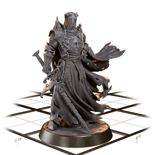 The Faceless, Penitent Paladin