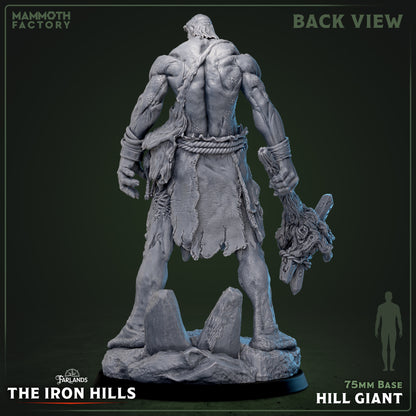 Hill Giant
