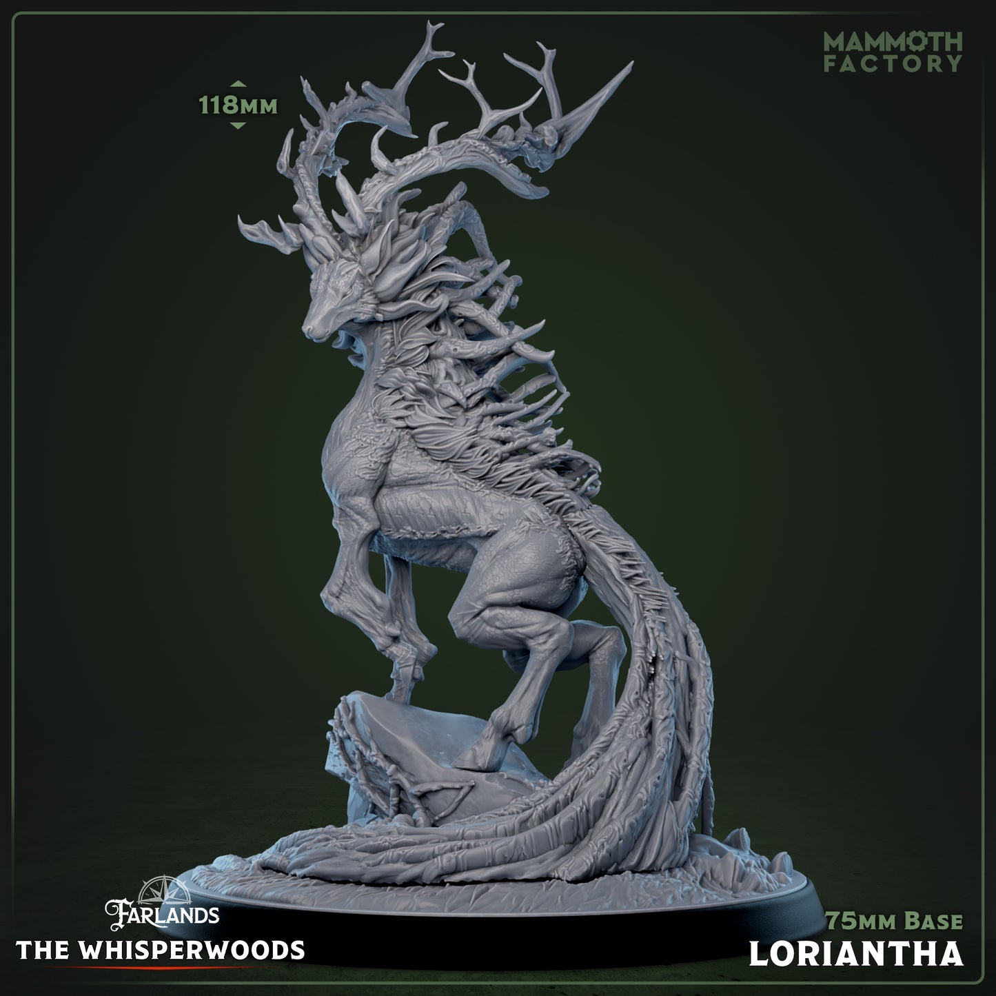 Loriantha