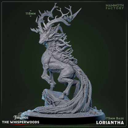 Loriantha