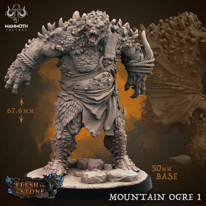 Mountain Ogres