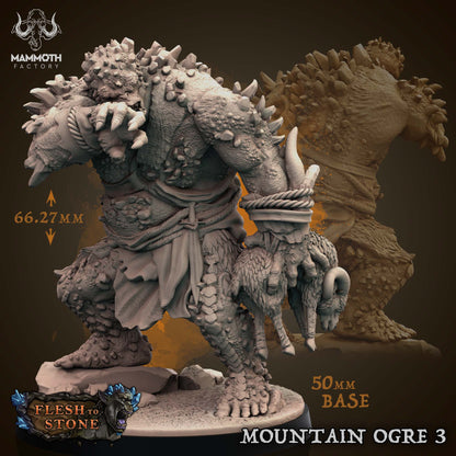 Mountain Ogres