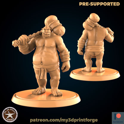 Ogre