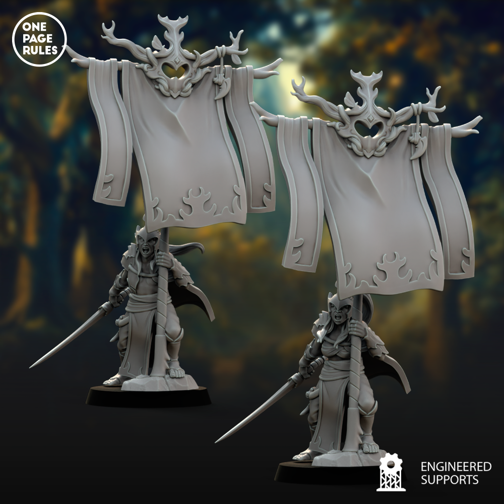 Army Standard Bearer