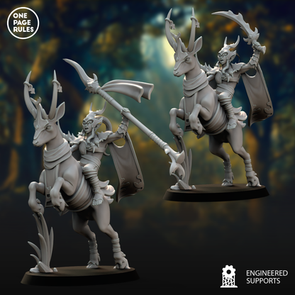 Deer Rider Leader