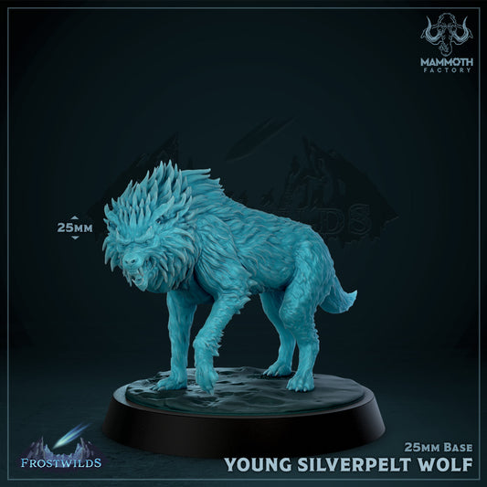 Young Silverpelt Wolf