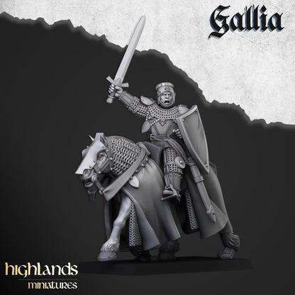 Gallia Young Knights