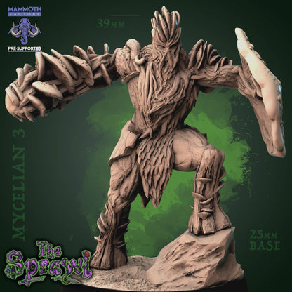 Mushroom people | Mycellians