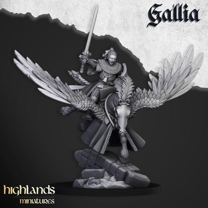 Gallia ALTERNATIVE Female heads