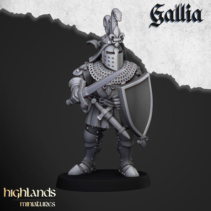 Gallia Knights on foot