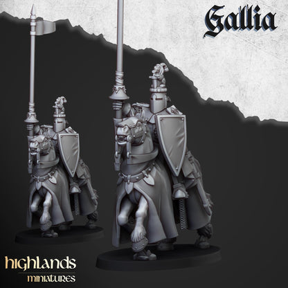 Gallia Knights