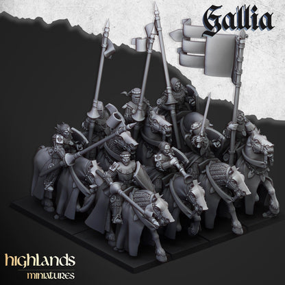 Gallia Young Knights